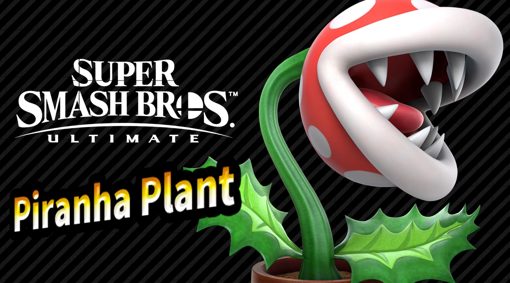 All Smashdle answers for November 10, 2023